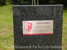DSCF4221