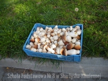 DSCF9694