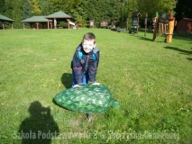 DSCF9731