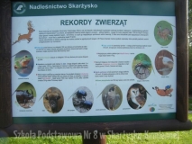DSCF9754
