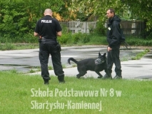 DSCF0854