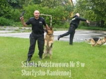 DSCF0861