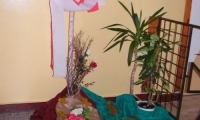 DSCF4602