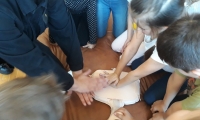 44170473_313806516079058_1994896203141087232_n