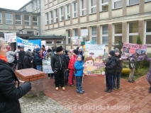 DSCF8966