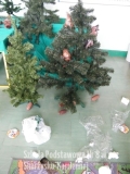 DSCF2774
