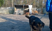 schronisko_08