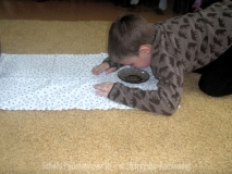 OLYMPUS DIGITAL CAMERA