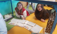 IMG-1870